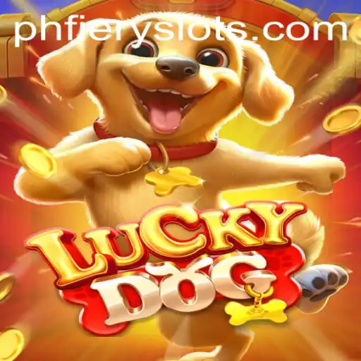 Experience the Thrill of 